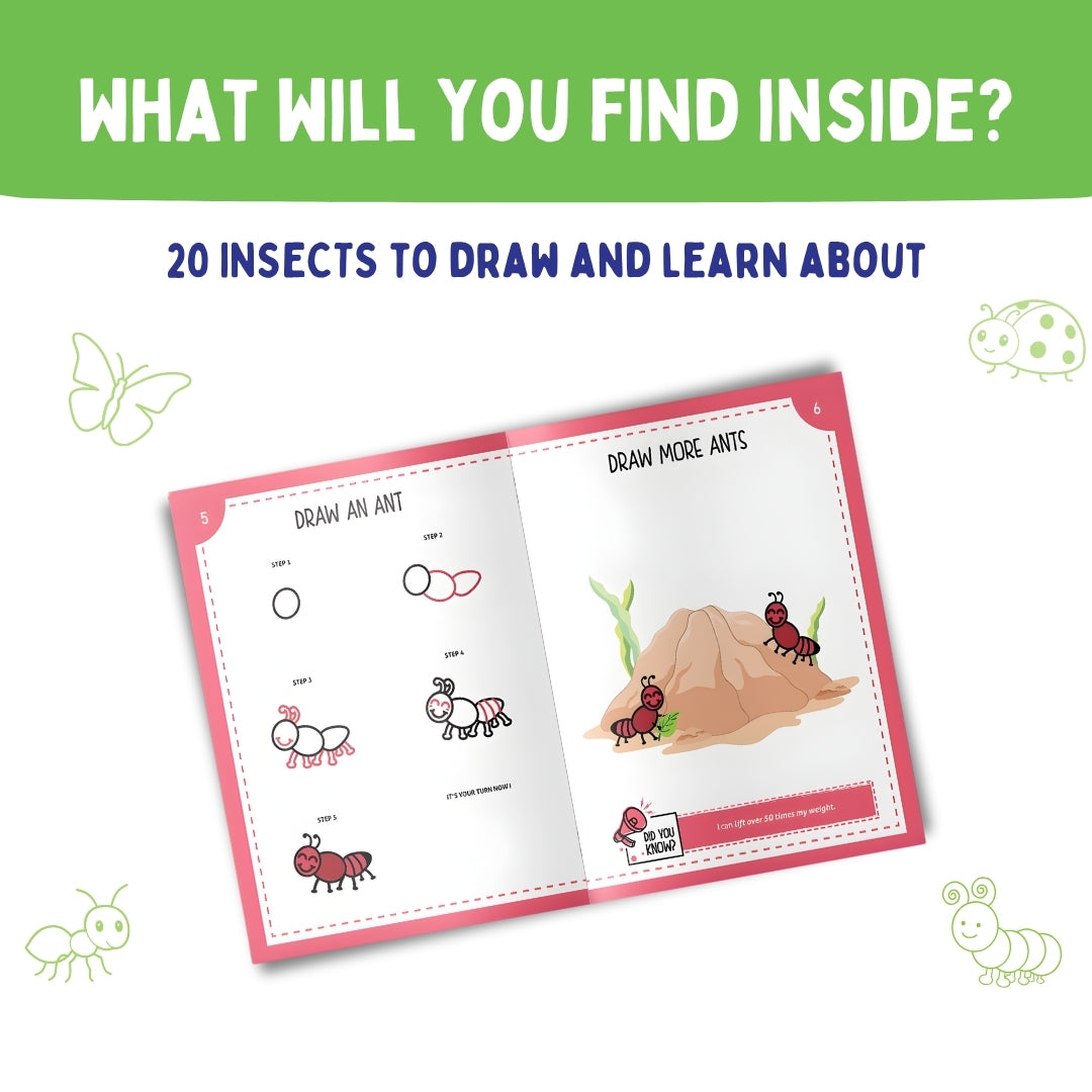 Step by Step Drawing Book – Incredible Insects