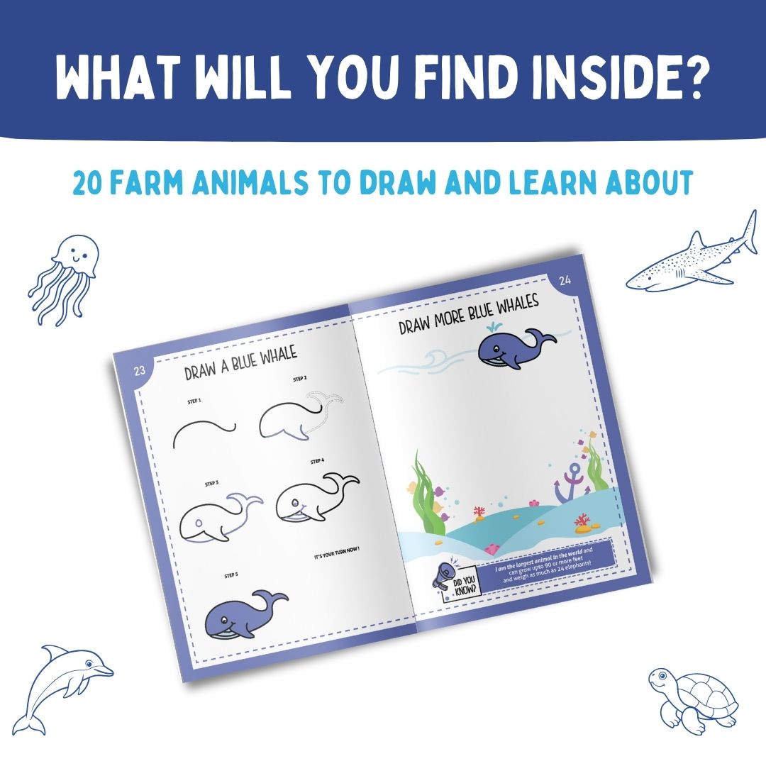 Step by Step Drawing Book – Mystical Marine Life