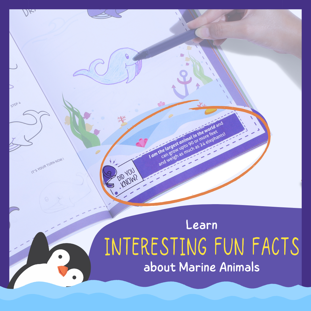 Step by Step Drawing Book- Mystical Marine