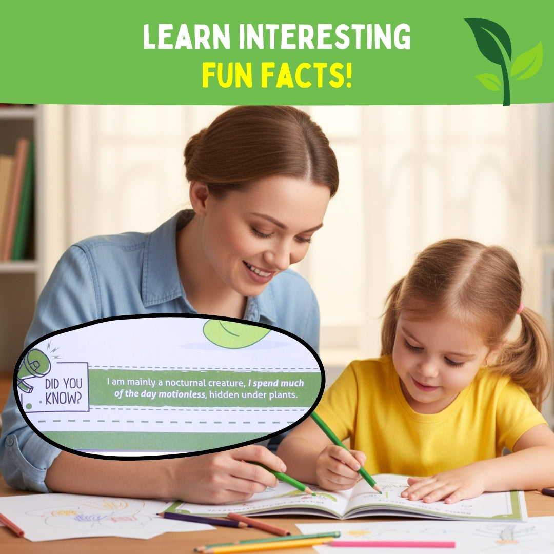 Step by Step Drawing Book – Incredible Insects