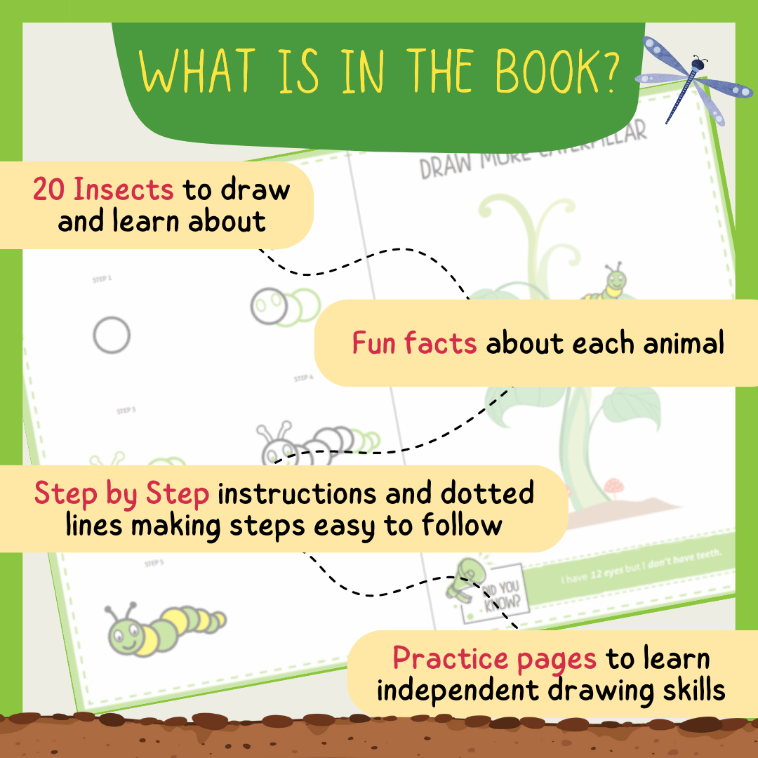 Step by Step Drawing Book – Incredible Insects