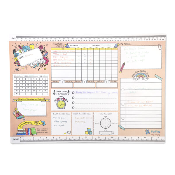 LARGE REUSABLE WEIGHT GAIN LOSS TRACKER WALL CHART -TRACK YOUR PROGRESS +  PEN!